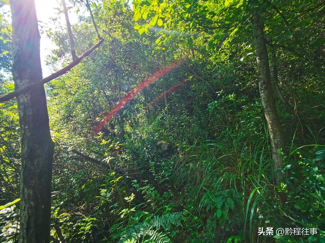 老人岩与磨刀岩：走过万仞崖壁之间不足一尺宽的险峻小道