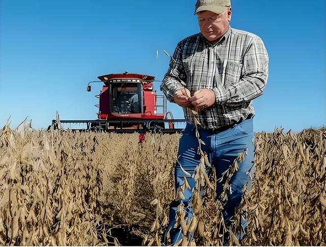 特朗普通告全球	，解决台湾问题，中国自己决定，外交部的回应亮了