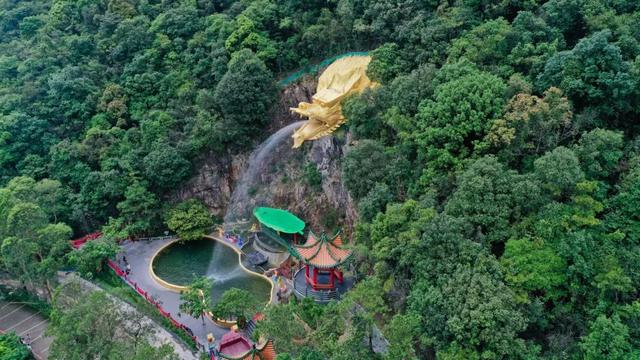 打卡宝藏景区观音山，闯入森林氧吧，开启一场望峰息心，康养之旅