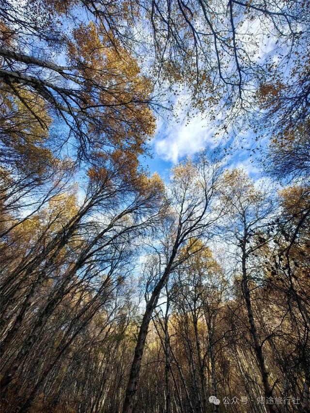 避开人潮，经典川西秋色10天行，人生必须要有的一场旅行！