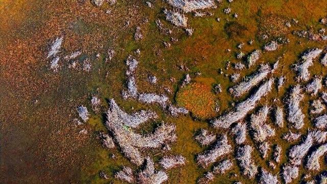 内蒙古杭锦旗：湿地秋景惹人醉