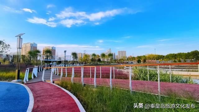 实拍!秦皇岛家门口的免费好去处,这个百亩湿地公园晚上也能逛~