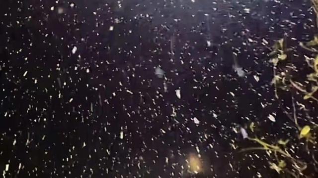 2025周至雪落！秦岭福地藏着水墨般的冬日浪漫～