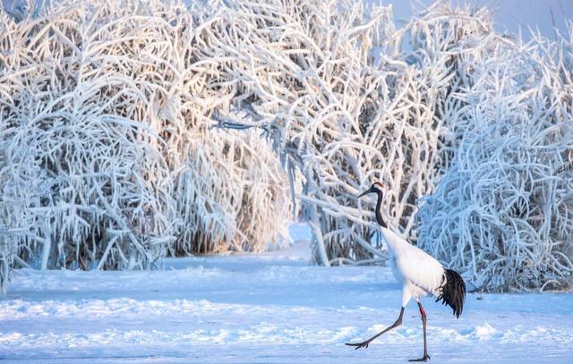 “不怕立冬晴一天，就怕立冬一天雨”	，今日立冬，雨天有啥预兆？