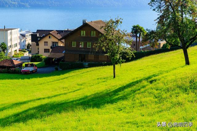 欧游杂记（5）‖ 齿轮火车几上几下瑞吉山，缆车凌空飞跃韦吉斯