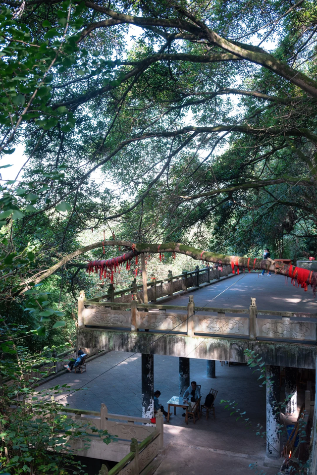 成都地铁直达！被低估的小众徒步秘境，10元斋饭好吃吃到撑