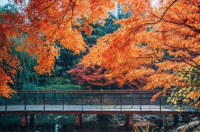 宜春人私藏的赏秋地图，这4个宝藏地，让摄影师都走不动路！