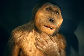 人类在进化过程中几乎褪去全身毛发，为何留下了阴毛和头发？图片