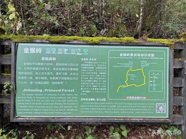 北京自驾长江三峡、神农架之旅（6）