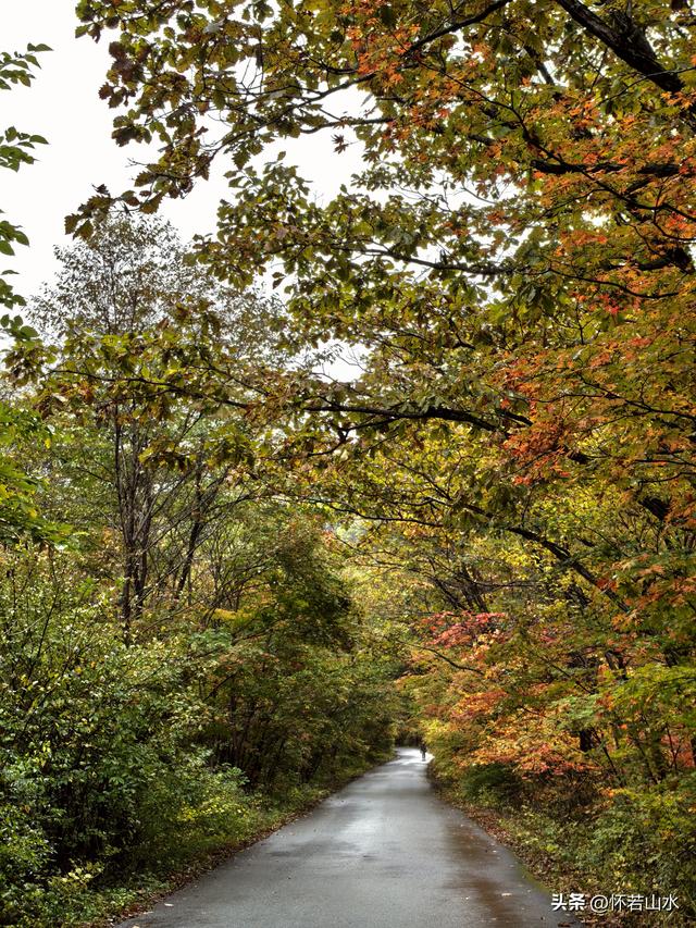 2025辽宁赏秋之旅日记(2)——游览丹东蒲石河森林公园