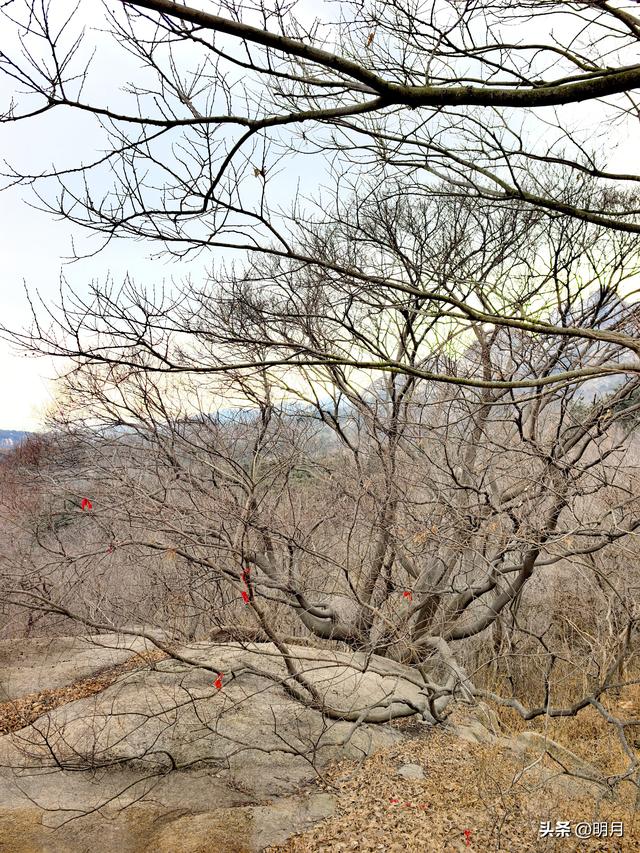 大珠山，你有多少神奇？