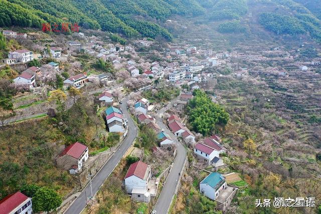 四明山脉的精华，四明山镇，全域皆风景