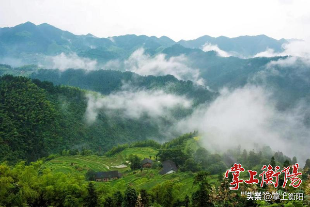 衡阳春日限定！收好这份踏青赏花打卡攻略~