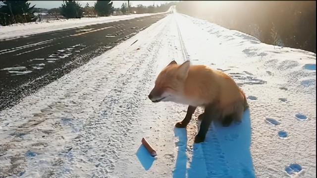 2025冬游牙克石全攻略｜3天解锁冰雪秘境极寒狂欢