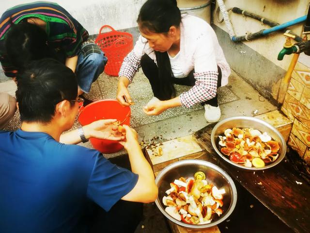 【云南陆良】芳华雨补拾菌记
