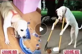 pdd的广告真的会把我笑死图片