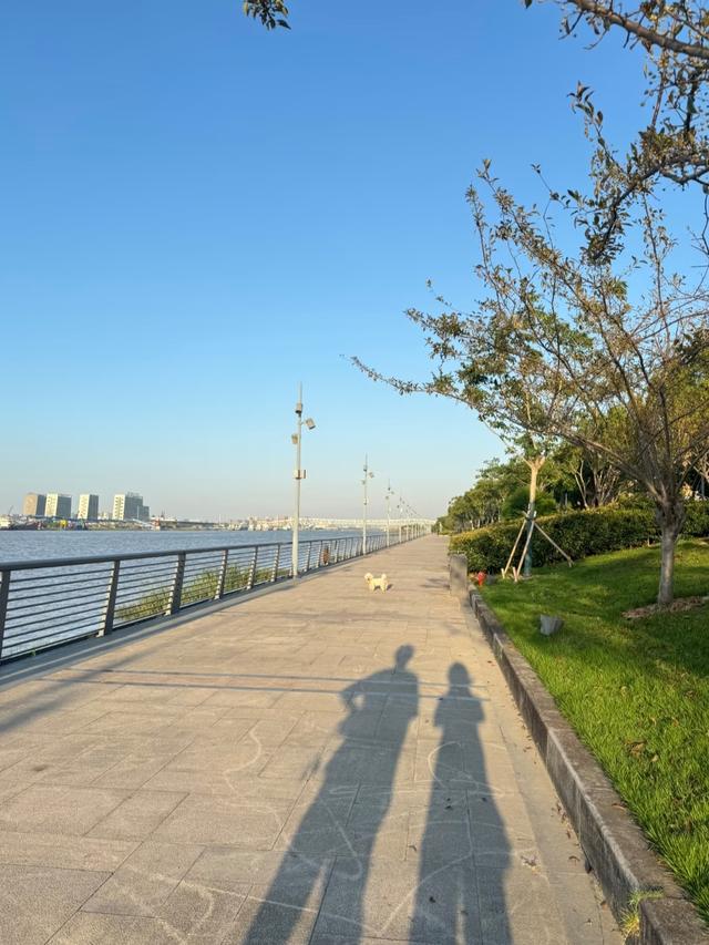 刚从宁波回来，毫不客气的说，宁波就是全国郊区城建天花板！