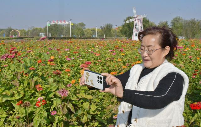 山东茌平杜郎口镇：深秋田园美景醉游人