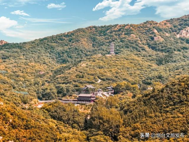【乐游烟台】一眼惊艳!烟台这座小城最近太火了