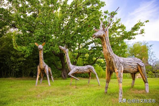 【乐游烟台】登高首选！烟台这个宝藏秘境，风景绝美！