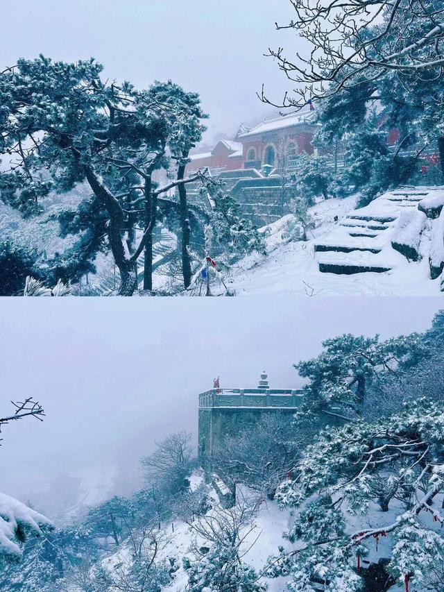 山东冬日奇观即将陆续上演，冰雪里的自然史诗等你解锁！