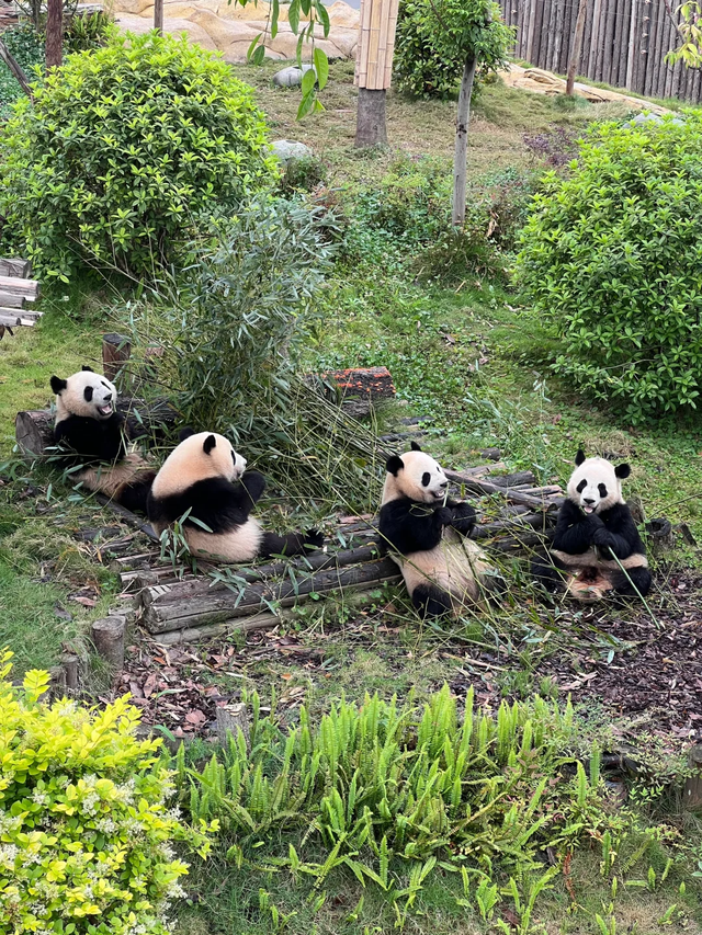国内十大国庆旅游热门城市，看看有没有你想去的