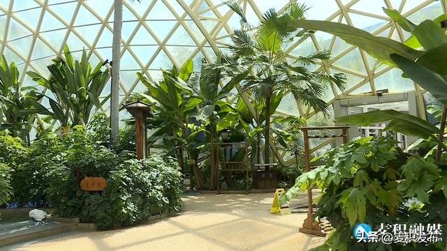 【多彩“双节” 畅游麦积】麦积山温泉：解锁你的秋日疗愈计划
