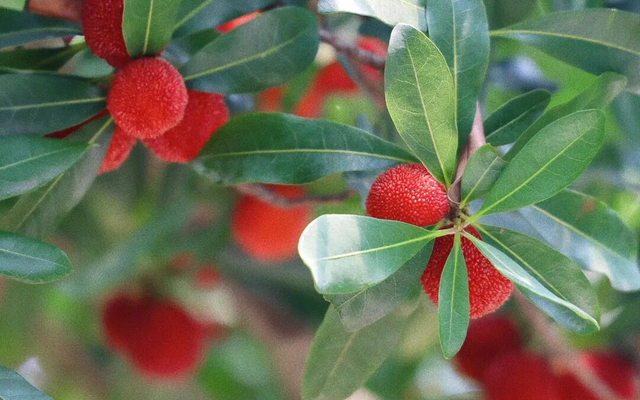 我说白了，萧山你是不是有点过分了！