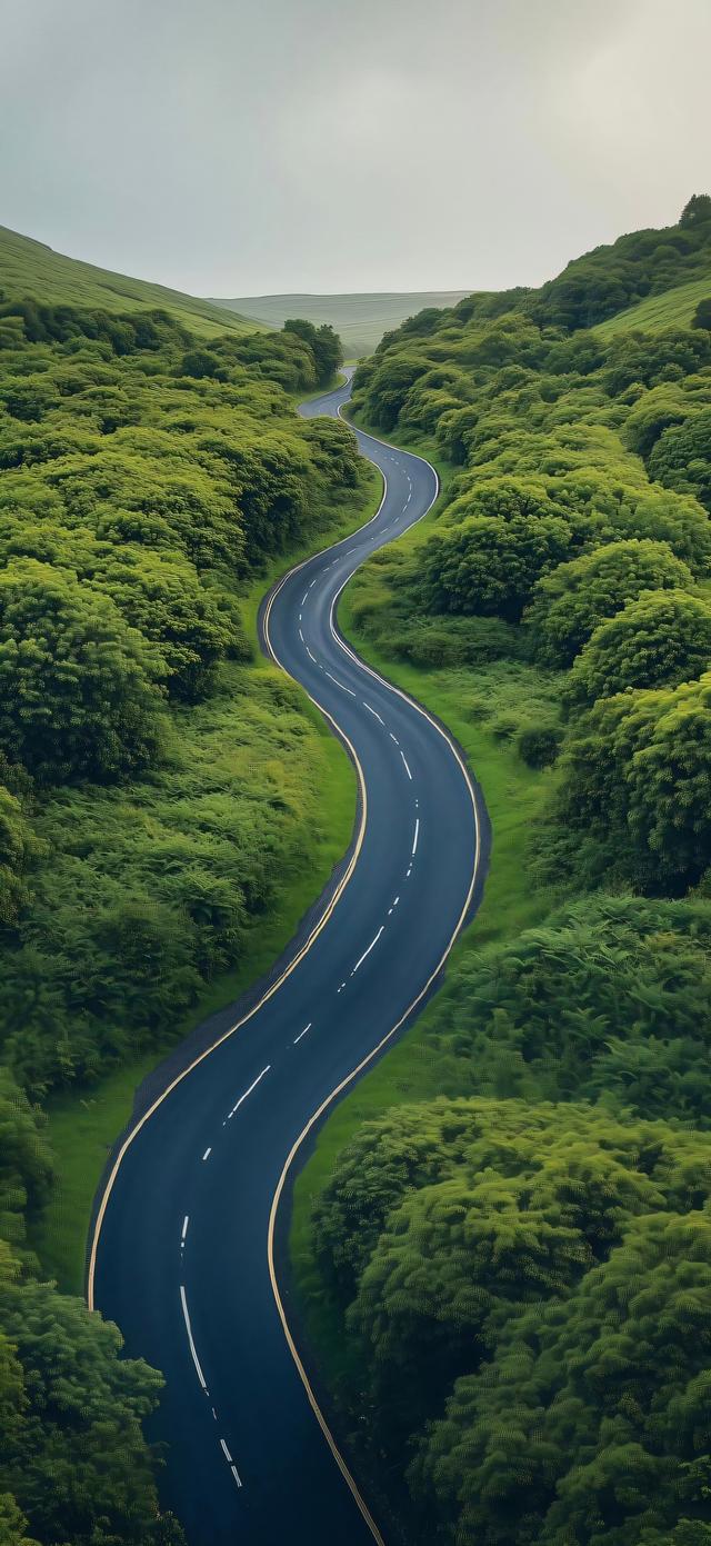 手机壁纸|清新自然，绿色风光美景