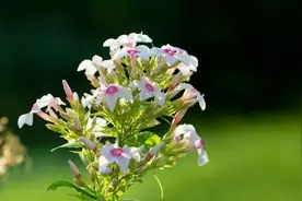 请告诉女儿：找对象，务必要看这三个“硬性条件”，这才是最重要图片