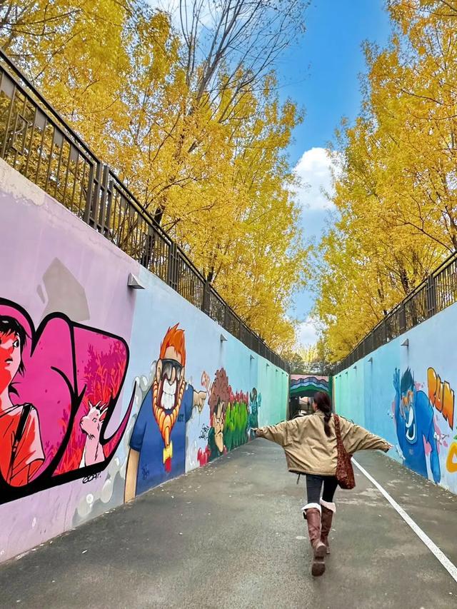 西安周末好去处——初冬8处宝藏公园免费又好玩！