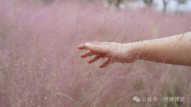 有预感！博望区这个地方要成顶流~