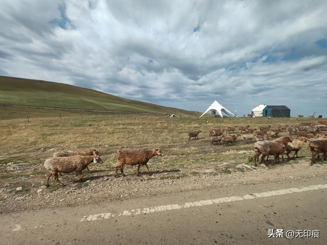 新疆之旅第六天：喀拉峻的草原诗篇