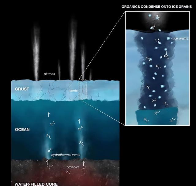 存在生命迹象？科学家爆料：土卫二或存外星生命！