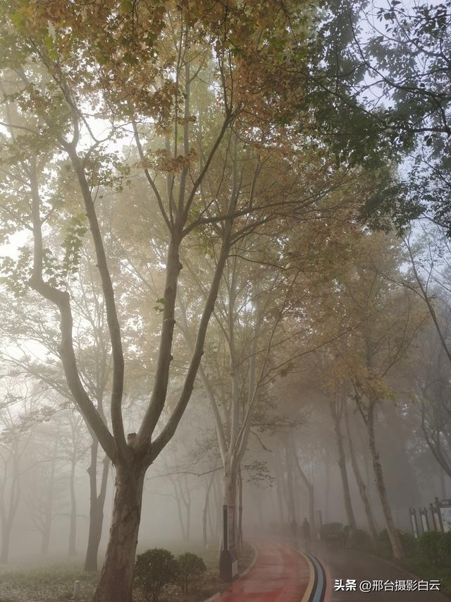 达活泉公园：情与雾的交织