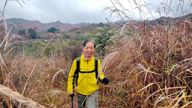 雾锁风挡山，红叶引客来