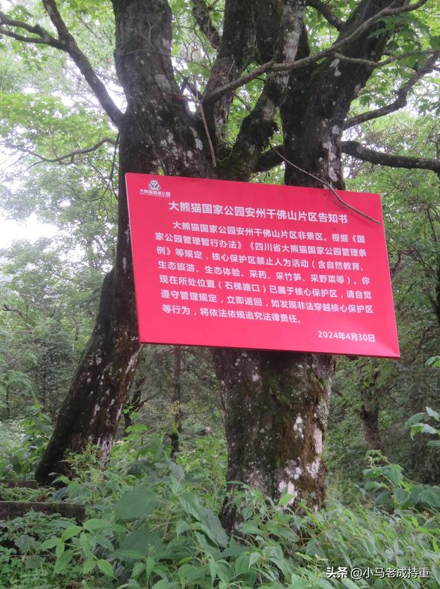 绵阳千佛山爬山笔记