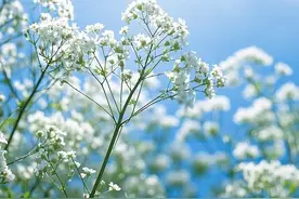 在职场，领导找你调岗别慌！三招教你体面应对图片