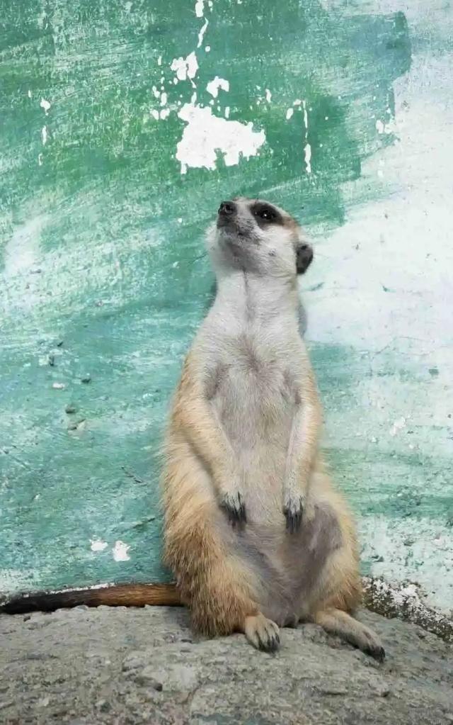 这样的张家港，我“All in”了！