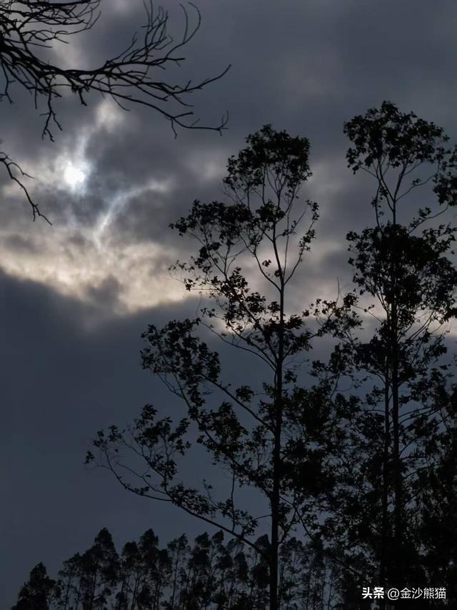 海陵岛上山水写实画一路相伴，双龙连续三年千里骑行22