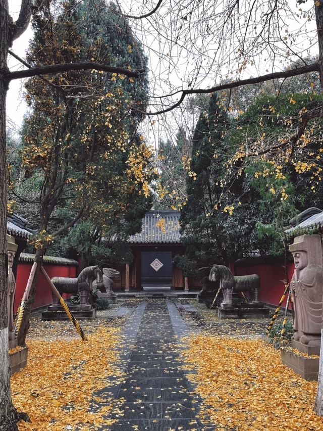 我是广州人，多次去成都后发现：这城市跟其他城市不一样的10个点