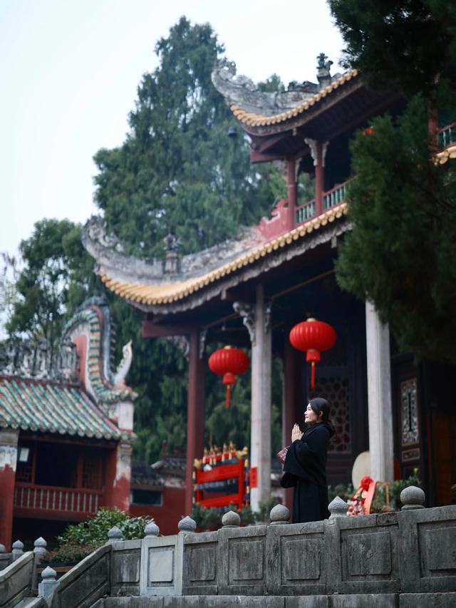 最佳观赏期！冬天来广西，指定有好“柿”！（附最新实拍图）