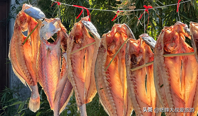 浙江这个烟火古镇太诱人了，拥美食、国医、古建优势，关键全免费