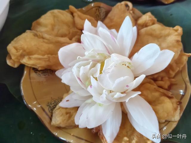 误入仙境的七月行