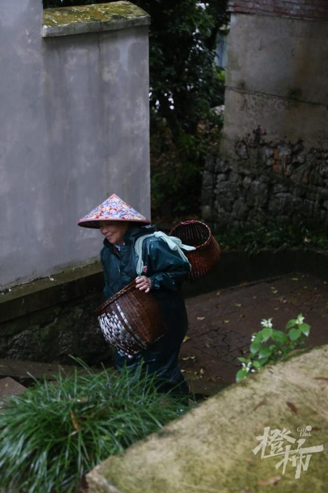 花胶煲干菜 2026年花胶菜干汤功效与禁忌