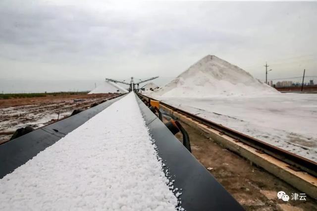 芦花千年尽飞雪