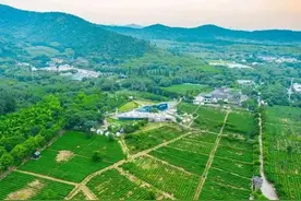 苏州这份遛娃攻略请收藏图片