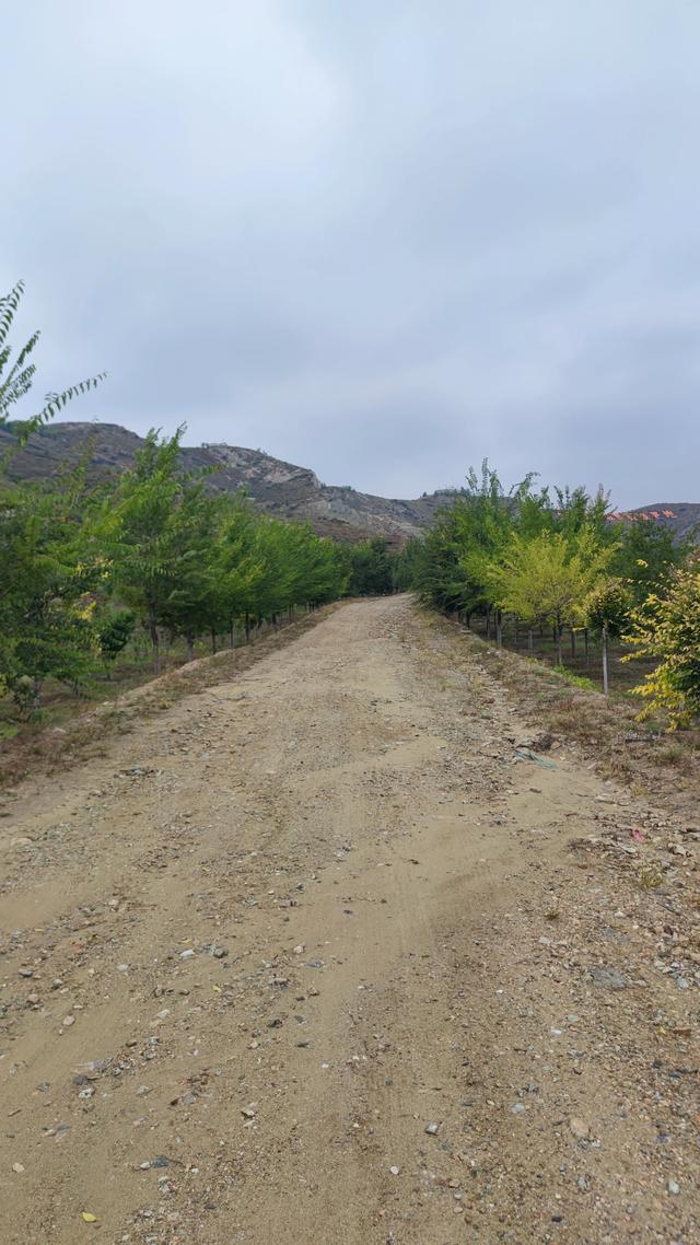 闲逛包头大青山南坡笸箩铺景点，去时一人，景区也一人，有点荒野