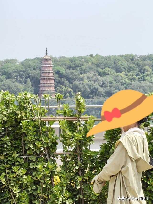 武汉十二月——一月一帧藏走过2025的四季光影