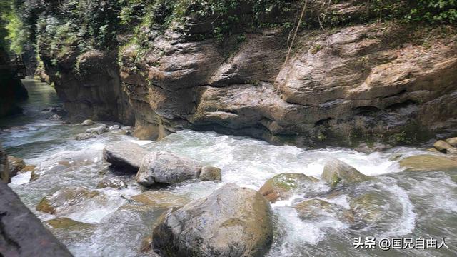 “渝黔生物基因库”黑山谷游记